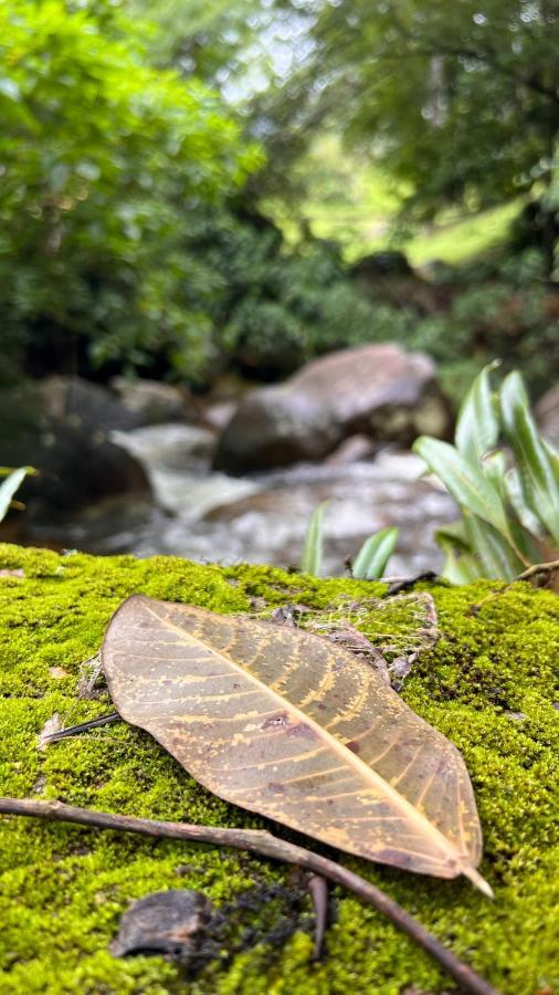 Pousada Ananda Parivara Ubatuba Esterno foto